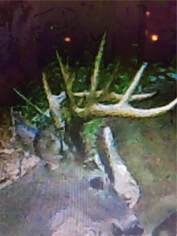 21910 Tall Timber Road, Springdale, AR 72764