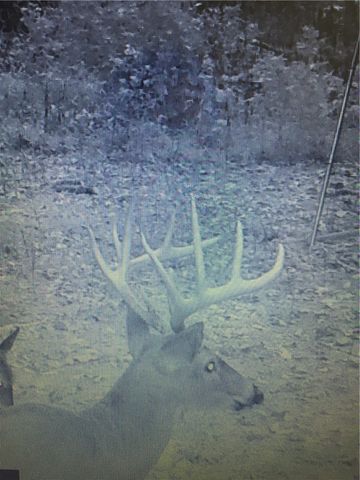 21910 Tall Timber Road, Springdale, AR 72764