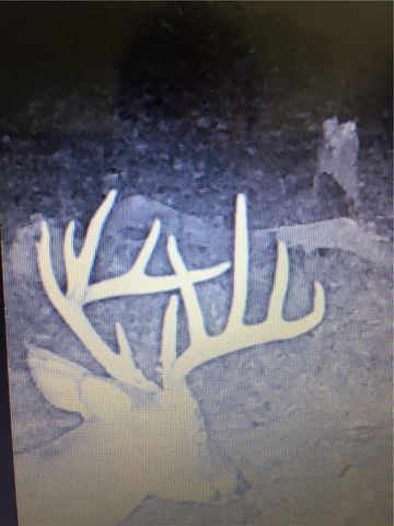 21910 Tall Timber Road, Springdale, AR 72764