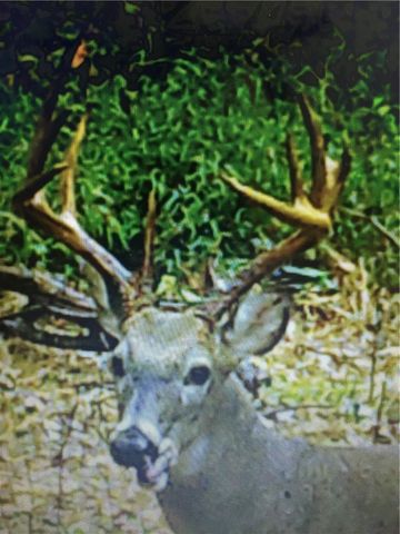 21910 Tall Timber Road, Springdale, AR 72764