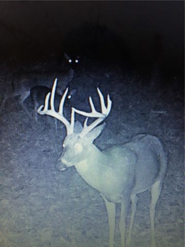 21910 Tall Timber Road, Springdale, AR 72764