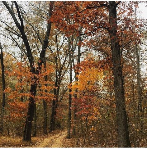 21910 Tall Timber Road, Springdale, AR 72764