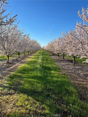 22085 FINNELL, Corning, CA 96021