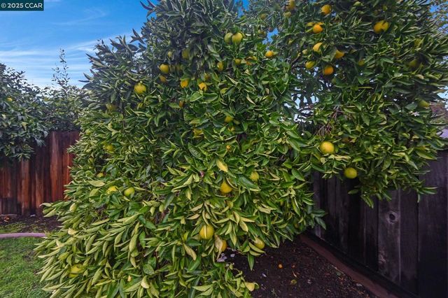 2140 Roskelley Dr, Concord, CA 94519