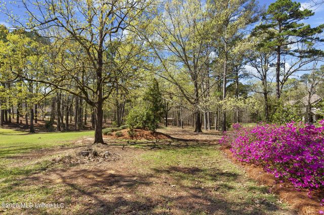 6145 Wirtz Road, Flowood, MS 39232
