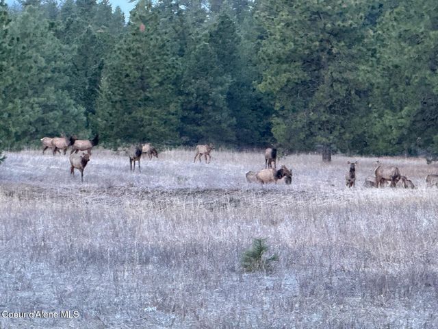 2953 E Badger RD, Harrison, ID 83833