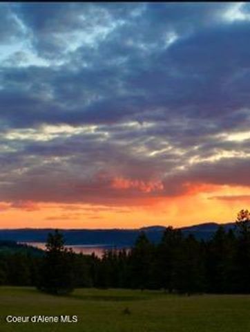 2953 E Badger RD, Harrison, ID 83833