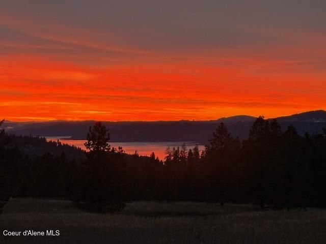 2953 E Badger RD, Harrison, ID 83833