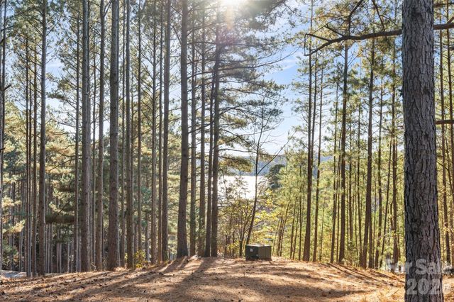 119 Wood Cove Lane, Stony Point, NC 28678