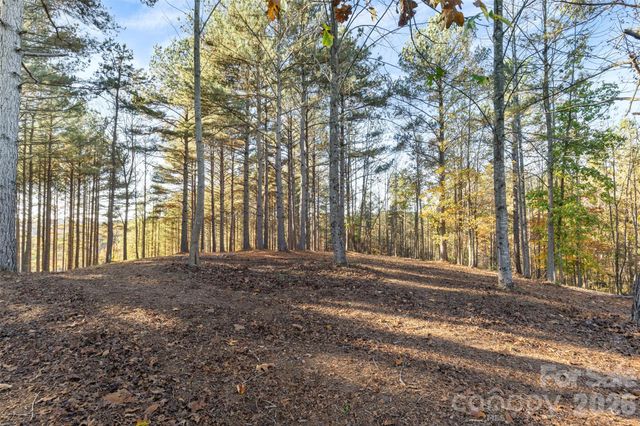 119 Wood Cove Lane, Stony Point, NC 28678