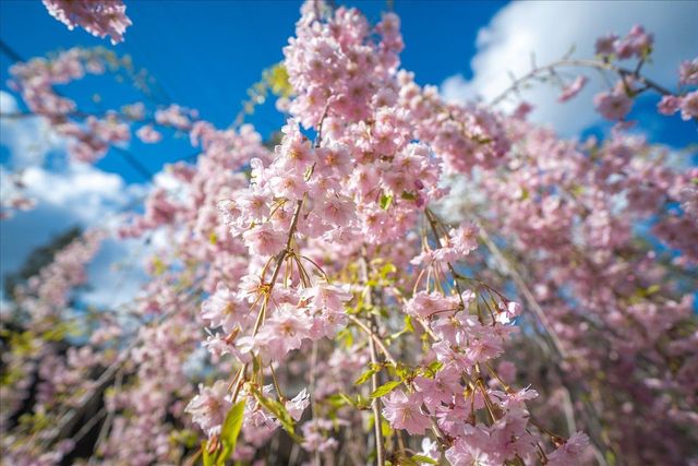 6713 N Stevens St, Spokane, WA 99208