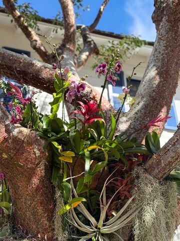 101 Palmetto Lane, West Palm Beach, FL 33405