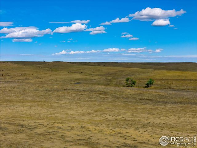 9221 County Road 110, Carr, CO 80612