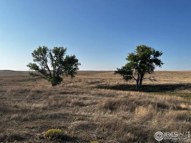 9221 County Road 110, Carr, CO 80612