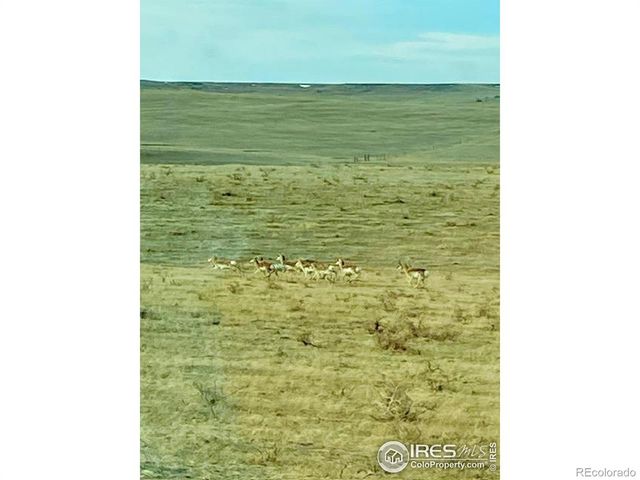 9221 County Road 110, Carr, CO 80612