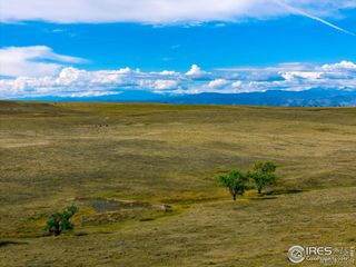 9221 County Road 110, Carr, CO 80612