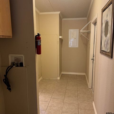23161 Piney Woods Trail, Flint, TX 75762