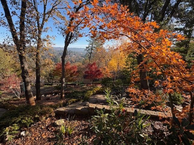 3101 Cribbs Ct, Placerville, CA 95667