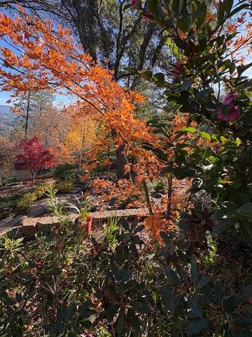 3101 Cribbs Ct, Placerville, CA 95667