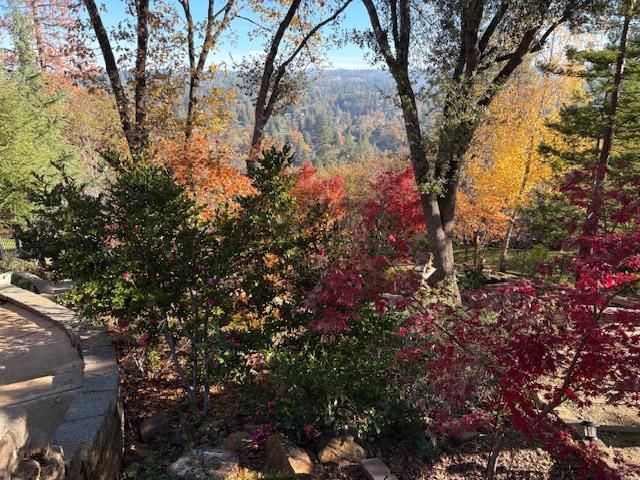 3101 Cribbs Ct, Placerville, CA 95667