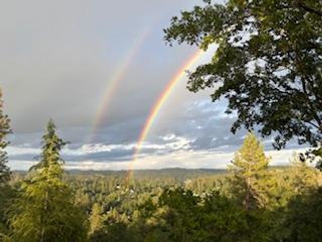 3101 Cribbs Ct, Placerville, CA 95667