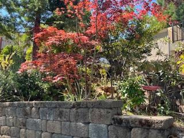 3101 Cribbs Ct, Placerville, CA 95667