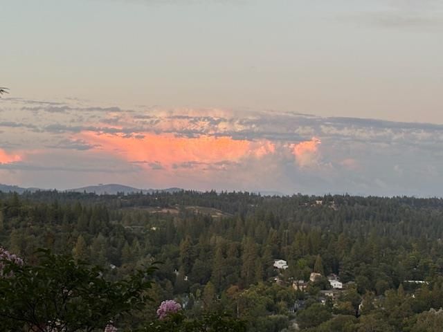 3101 Cribbs Ct, Placerville, CA 95667