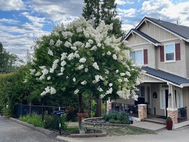 3101 Cribbs Ct, Placerville, CA 95667