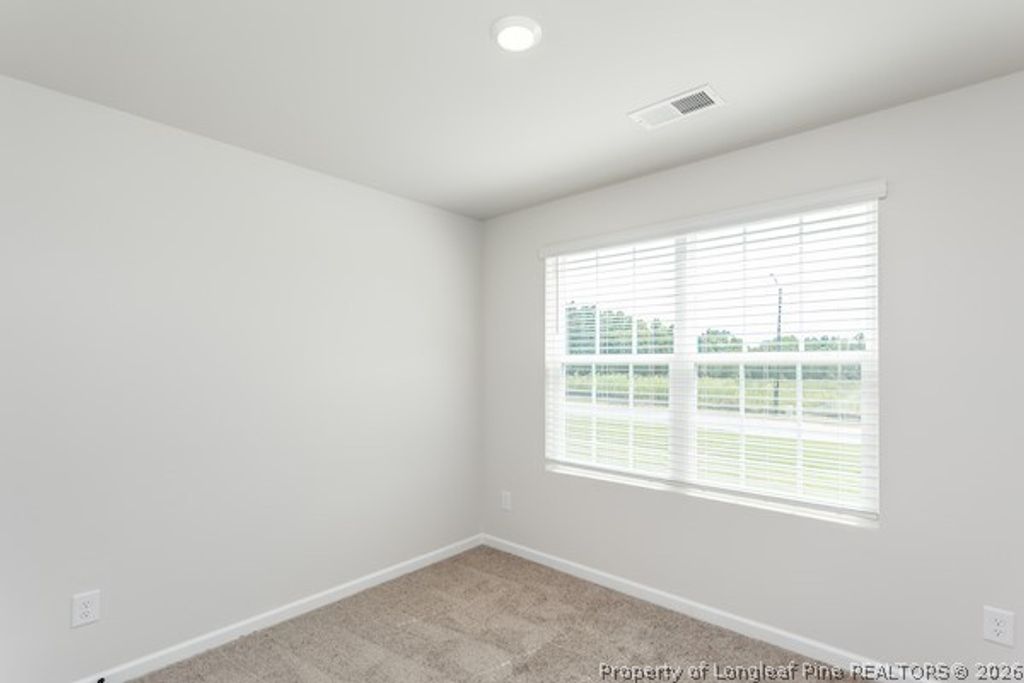 63 Laforce Lane, Broadway, NC 27505 — photo 19