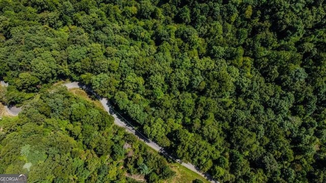 LT 1012 Gateway Drive, Ellijay, GA 30540