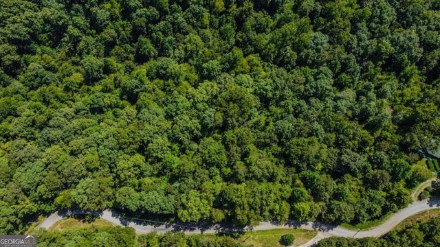 LT 1012 Gateway Drive, Ellijay, GA 30540
