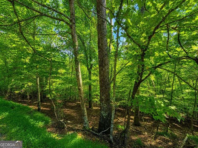 LT 1012 Gateway Drive, Ellijay, GA 30540