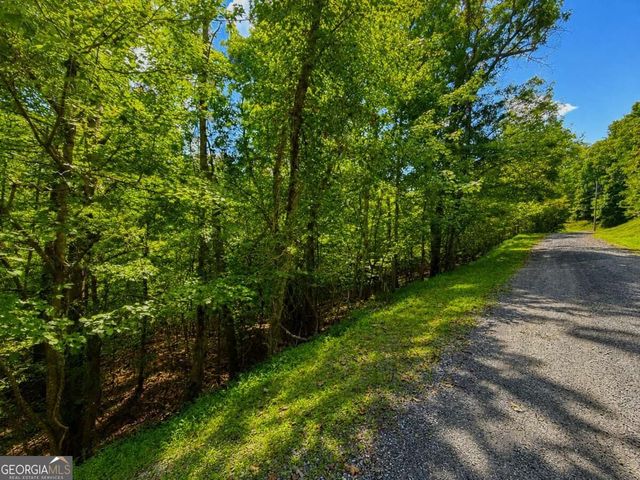 LT 1012 Gateway Drive, Ellijay, GA 30540