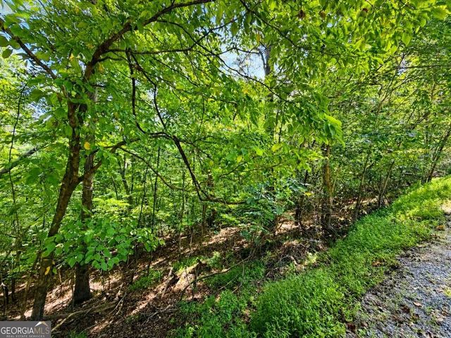 LT 1012 Gateway Drive, Ellijay, GA 30540