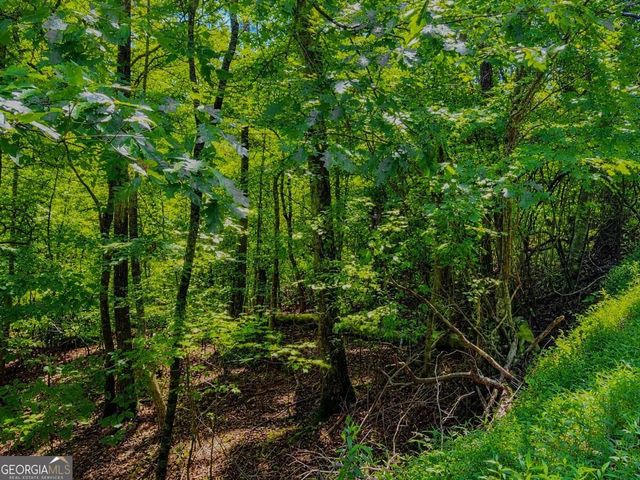LT 1012 Gateway Drive, Ellijay, GA 30540