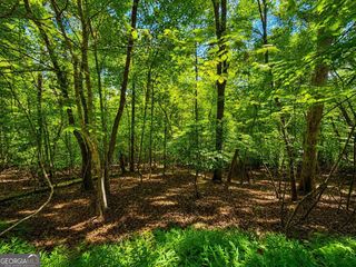 LT 1012 Gateway Drive, Ellijay, GA 30540