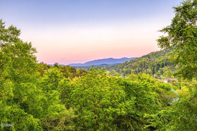 3301 Kestrel Way, Pigeon Forge, TN 37863
