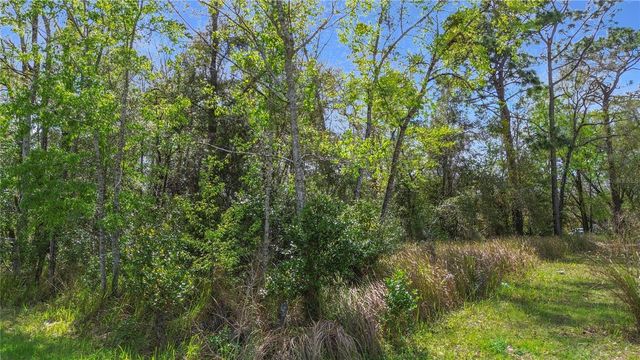 199 WATER TRACK, Ocala, FL 34472