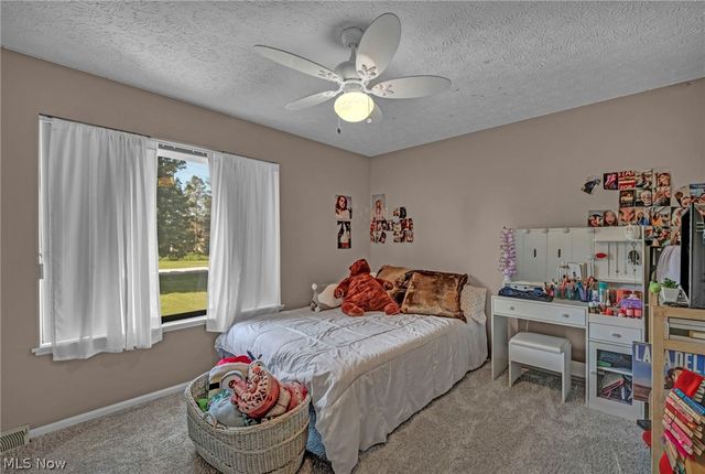 4102 Manchester Road, Perry, OH 44081