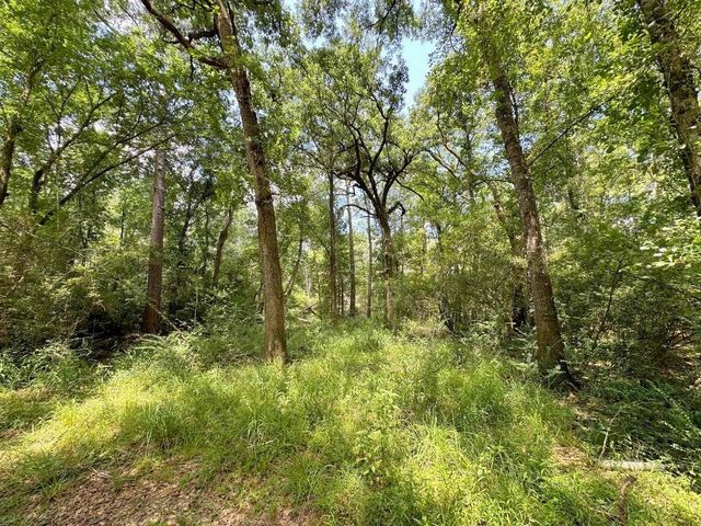 25920 Grand Pines, Magnolia, TX 77355