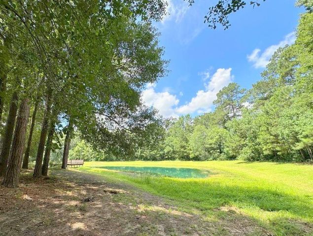 25920 Grand Pines, Magnolia, TX 77355
