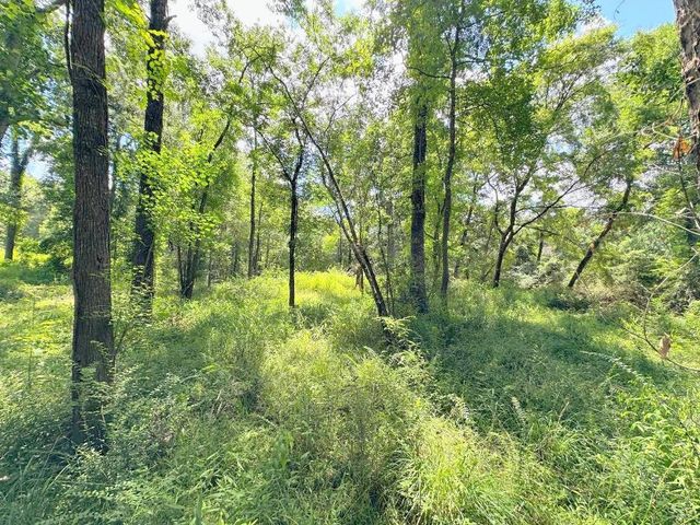 25920 Grand Pines, Magnolia, TX 77355