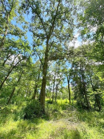 25920 Grand Pines, Magnolia, TX 77355