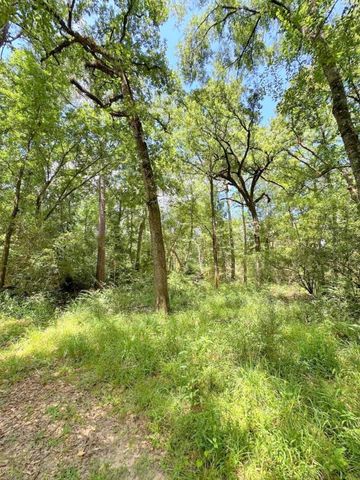 25920 Grand Pines, Magnolia, TX 77355