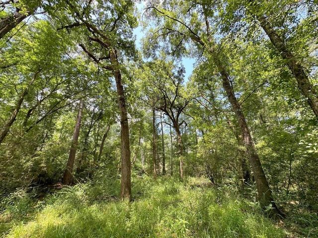 25920 Grand Pines, Magnolia, TX 77355