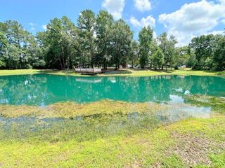 25920 Grand Pines, Magnolia, TX 77355