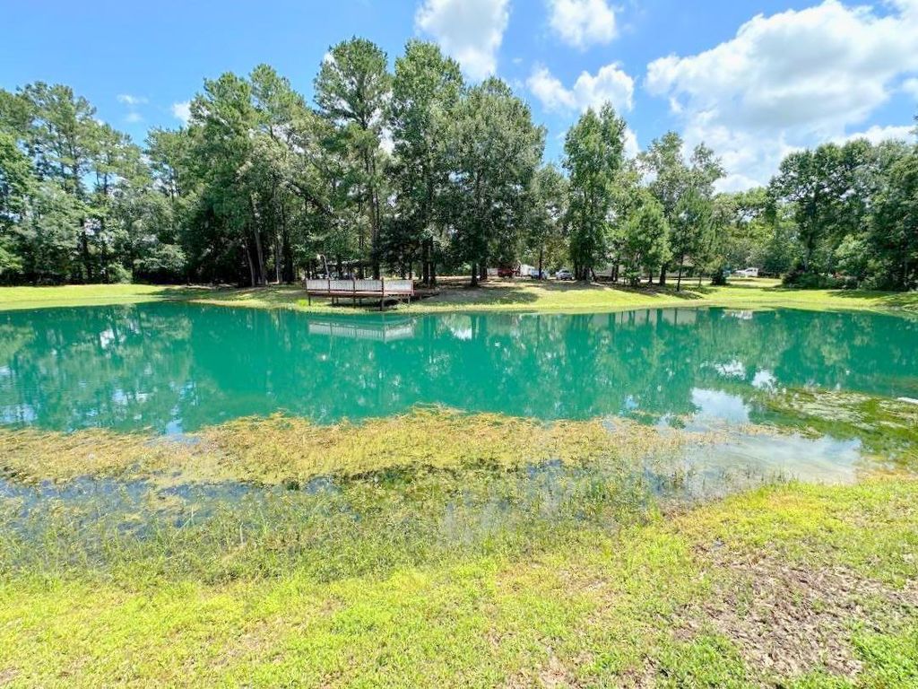 25920 Grand Pines, Magnolia, TX 77355