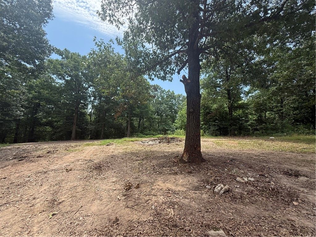 15435 Realtree Road, Gravette, AR 72736