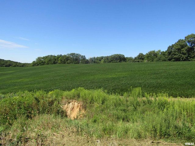 0 N Highway 9 County Road, Lewistown, IL 61542