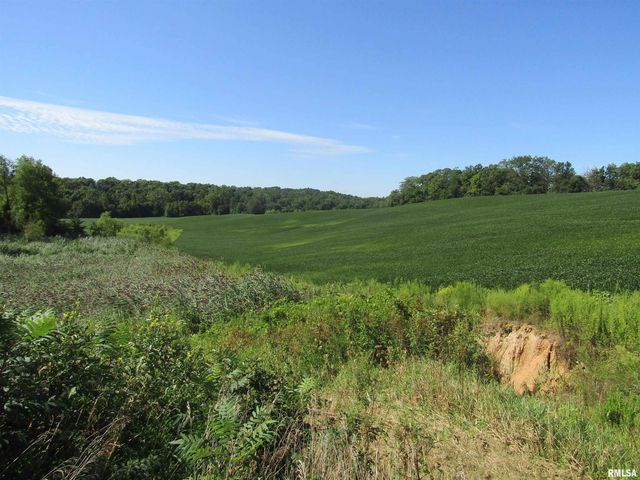 0 N Highway 9 County Road, Lewistown, IL 61542